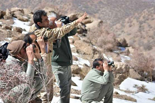 منابع طبیعی کهگیلویه و بویراحمد و فقدان ۱۰۸ جنگلبان