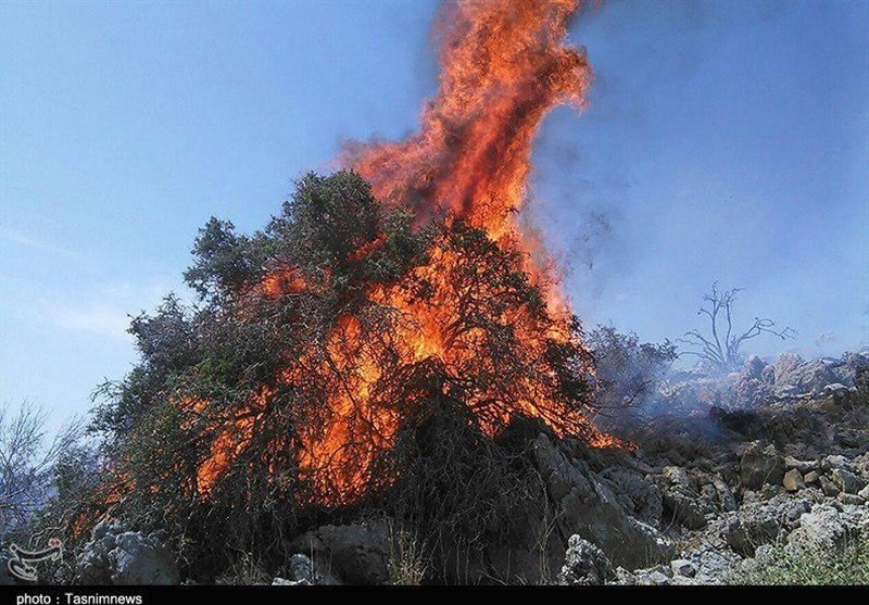 ۸ فقره آتش‌سوزی در کهگیلویه و بویراحمد/ ۴.۵ هکتار از مناطق حفاظت شده در آتش سوخت