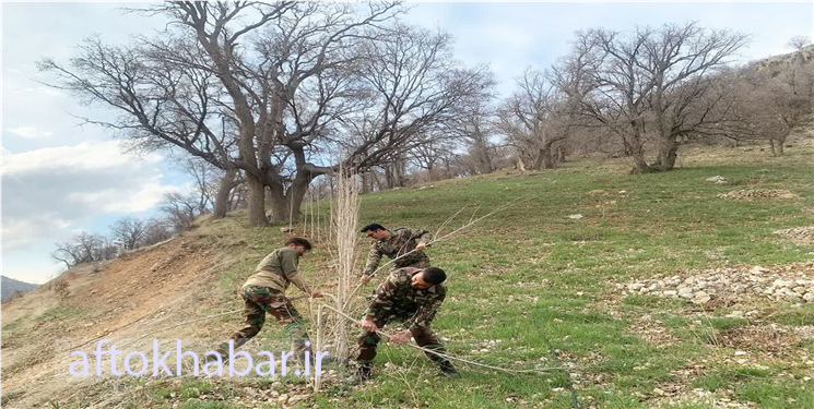 رفع تصرف ۱۰۱ هزار متر مربع از اراضی ملی کهگیلویه و بویراحمد 