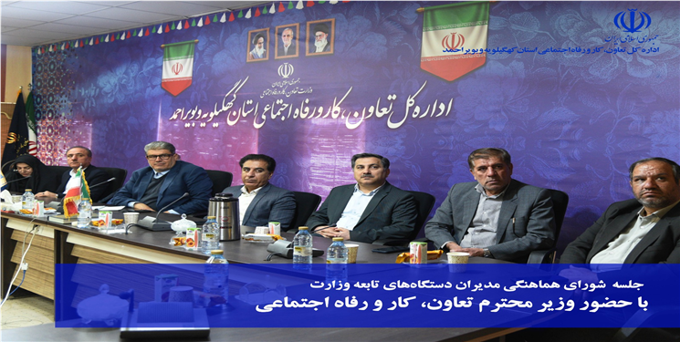 مدیرکل تعاون، کار و رفاه اجتماعی:همکاری همه‌جانبه دستگاه‌ها برای تحقق راهبردهای وزارت کار ضروری است
