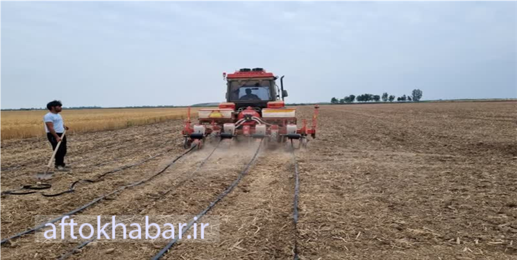 «طرح جهش تولید» در پاییز خشک کهگیلویه و بویراحمد/ چشم امید کشاورزان به حمایت دولت است