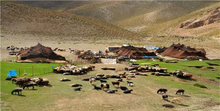 توزیع ۱۰۰ تن جو دولتی بین عشایر شهرستان‌های دنا و مارگون