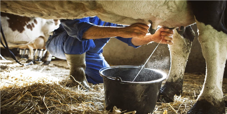 ابتلای بیش از ۴۰ نفر از اهالی روستای«رودریش» به یک بیماری/  «دیشموک» در تسخیر بیماری « تب مالت»