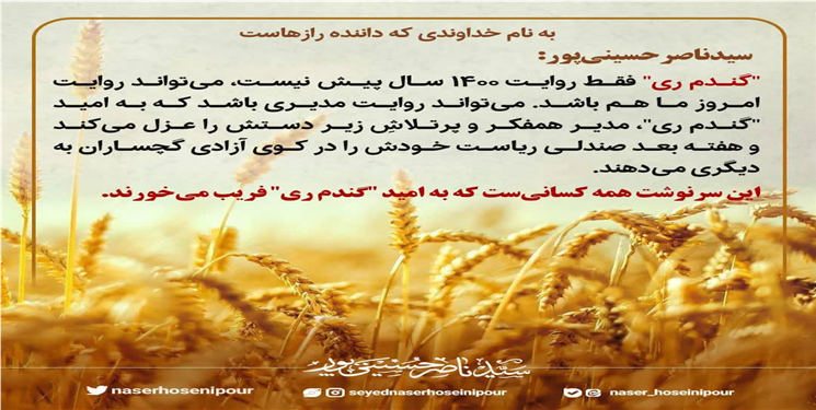 مخاطب کنایه سیدناصرحسینی‌پور چه کسی است؟!