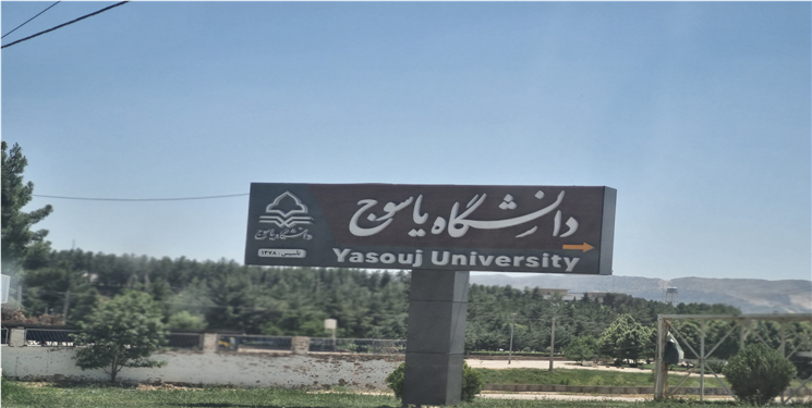 «تقلای عجیب» معاون دانشگاه یاسوج برای رسیدن به ریاست