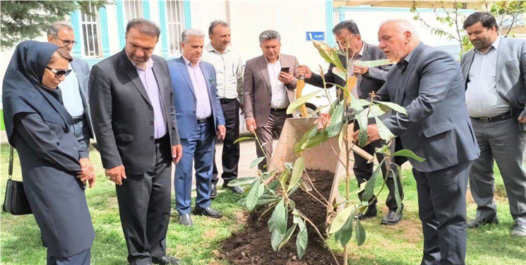 غرس ۱۲۰ اصله نهال به یاد شهدای صنعت آب و برق در آبفای کهگیلویه و بویراحمد    
