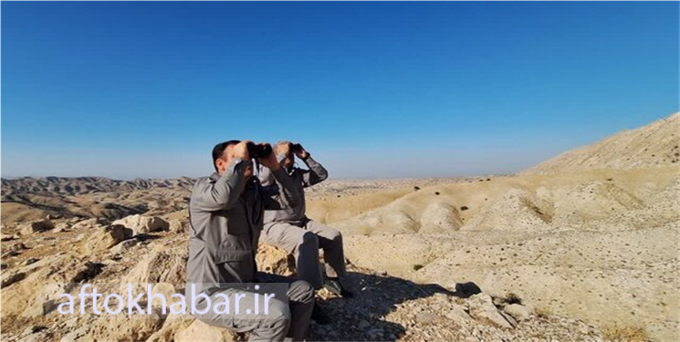آغاز شمارش حیات وحش در ۵ شهرستان گرمسیری کهگیلویه و بویراحمد