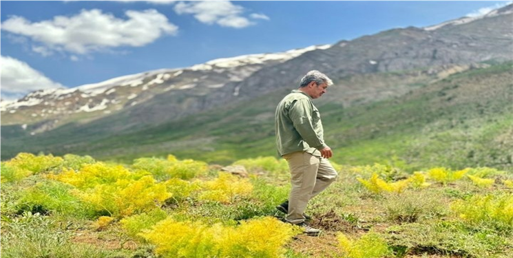 همایش کوه گل؛ نمایش قدرت و محبوبیت یا دلجویی از مردم