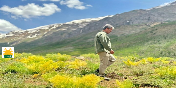 شکوه امید با حضور «تاجگردون»