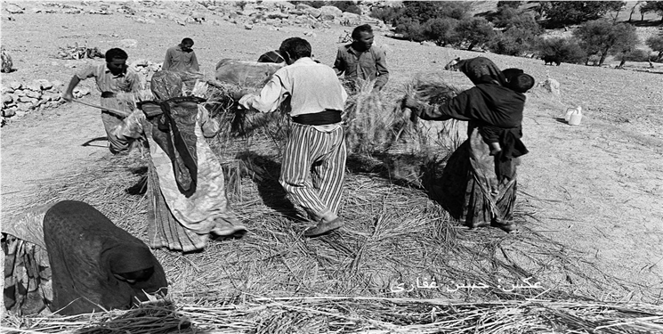 عکس روز/ مارگون چشمه گلی شهنیز دهه 70