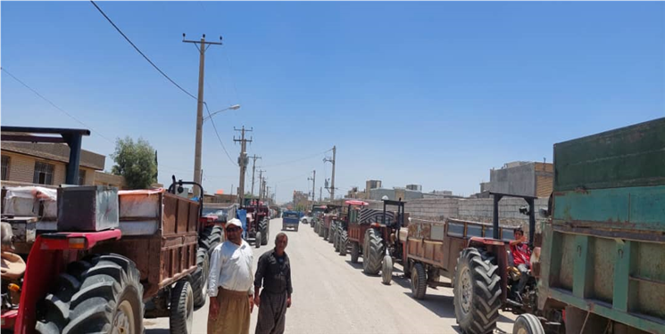 پاسخ دو دستگاه متولی خرید گندم به خبر اَفتونیوز