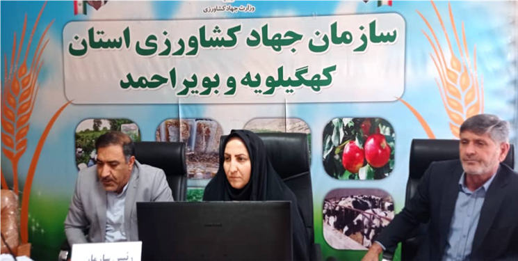 کشاورزی صادرات‌ محور کلید خروج از اقتصاد نفتی