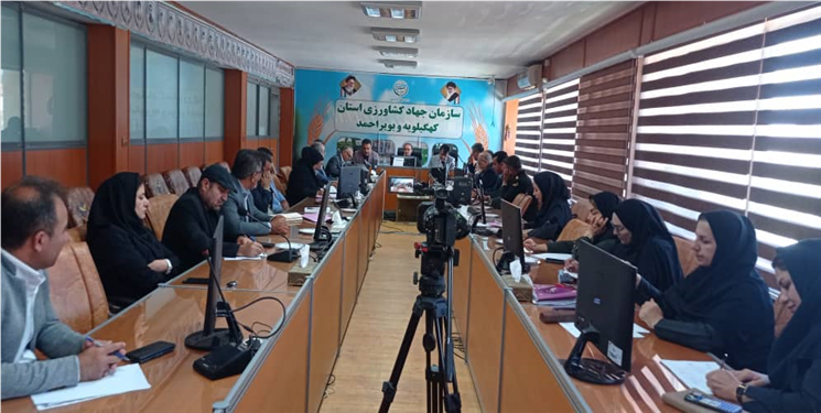 معتمدی‌پور در ستاد برداشت: کاهش وابستگی به بارش در زراعت، منجر به پایداری تولید می‌شود/ ۷۰ درصد زراعت کهگیلویه و بویراحمد دیم است