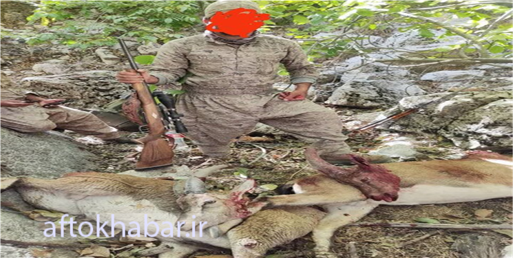 شکارچی متخلف حرفه‌ای دنای شرقی دستگیر شد