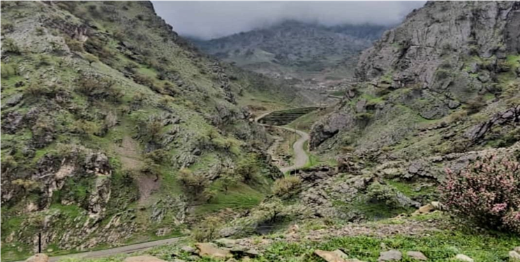 استمداد فتحی‌ها از تاجگردون/ ما را دریابید!